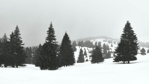 winter landscape scene on bucegi mountains