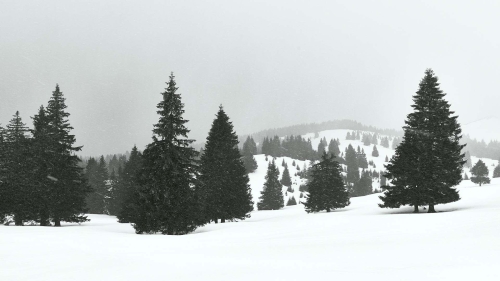 andygalexandru-professional-photographer-landscape-winter-blizzard